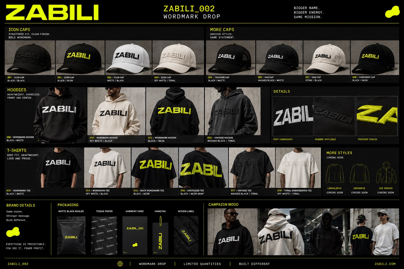 ZABILI_002 &mdash; wordmark drop